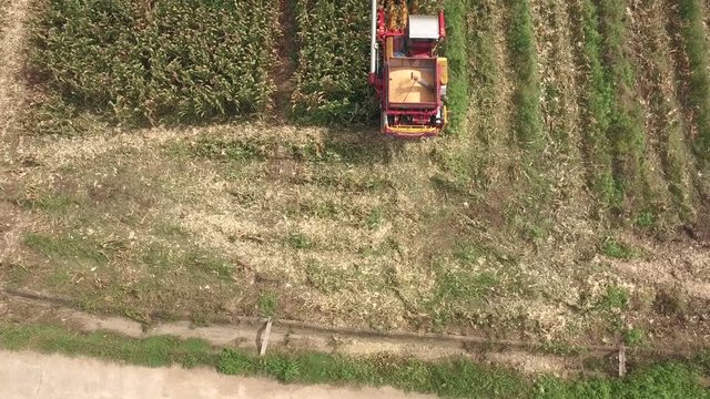 Aerial shot of combine harvesting corn