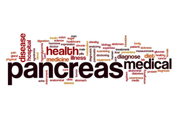 Pancreas word cloud concept