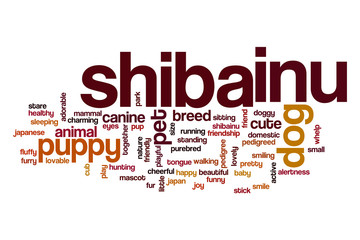 Shiba inu word cloud concept
