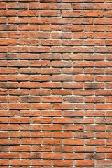 brick wall as a nicely textured background.