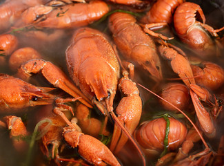 crayfish cooked on fire