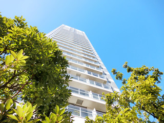 skyscraper tree
