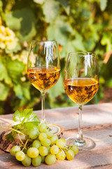 Green grape and two glasses of white wine in the vineyard