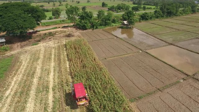 Aerial shot of combine harvesting corn