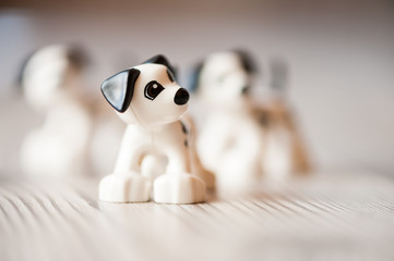 Dog toy on the table © sgabby2001