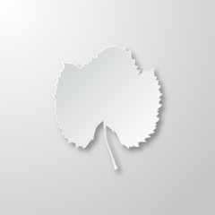 Background with leaf of paper