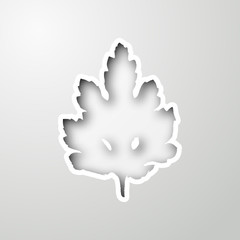 Background with leaf of paper