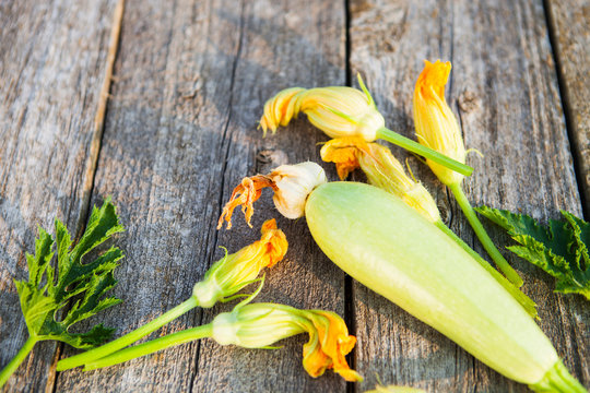 Fresh, organic flowers of zucchini on a wooden table,  rustic st