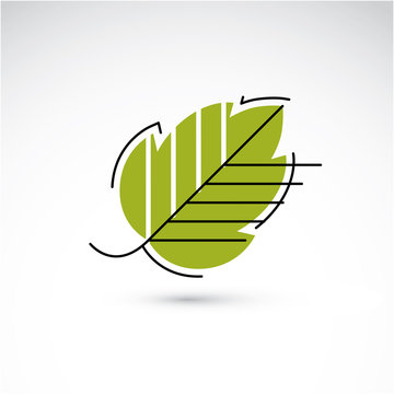 Spring hazel tree leaf, botany and eco flat image. Vector illust