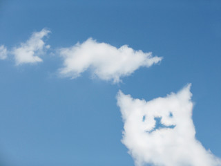 kitten cloud