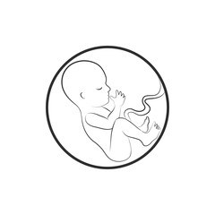 Fetus icon Isolated on White Background. Embryo sketch illustration