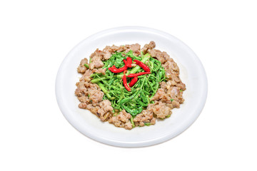 Thai food, Stir Fried Water Mimosa and Minced Pork, Phad Pak Kra Ched Moo Sap, On a White Plate.