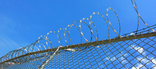 Clôture avec barbelé / Barbed wire