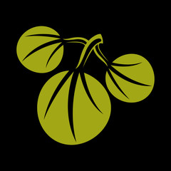 Three vector flat green leaves. Herbal and botany art symbol, sp