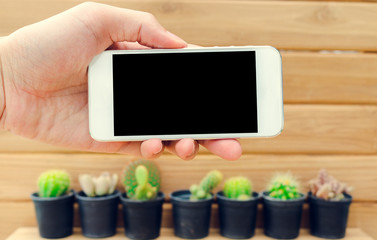 Man hand holding mobile phone blank screen with cactus and wood