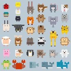 many types of animal in basic rectangle shape cartoon.