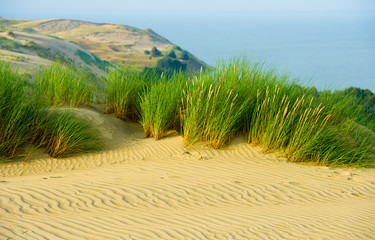 View of Dead Dunes, Curonian Spit and Curonian Lagoon, Nagliai, Nida, Klaipeda, Lithuania. Baltic...