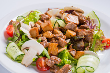 dish of salad with vegetables and meat