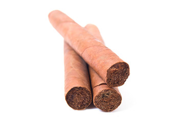 Cuban cigars on  white background