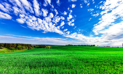 Green Field and Beautiful Sunset