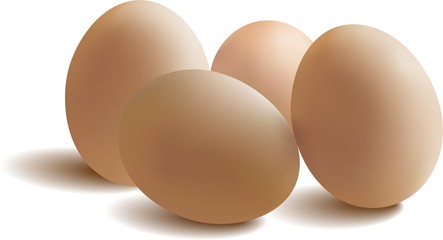 Four eggs isolated on white background.