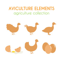 Aviculture vector set. Poultry industry illustration. Flat argiculture collection.