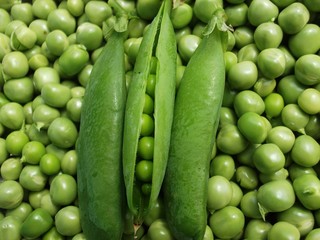 Fresh green pea pods background top view