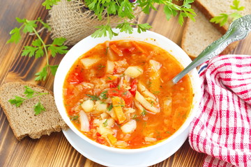 Traditional Russian Ukrainian vegetable borscht soup
