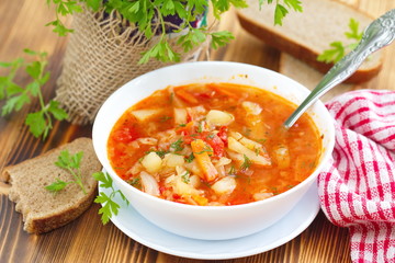 Traditional Russian Ukrainian vegetable borscht soup