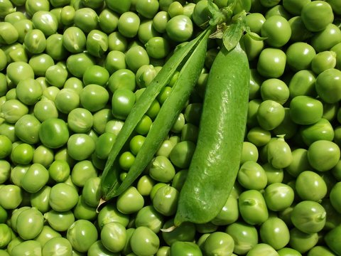 Fresh green pea pods background top view