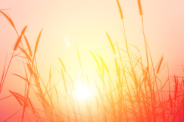 Obraz premium Sunset in the mountain