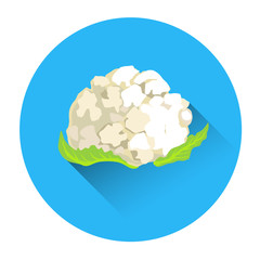 Cauliflower Colorful Vegetable Icon