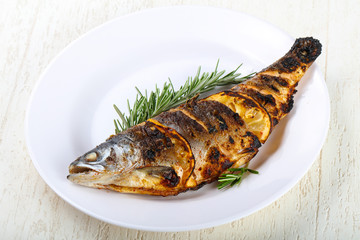 grilled trout