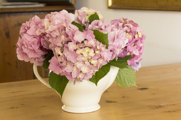 Hydrangea Flowers on a Table
