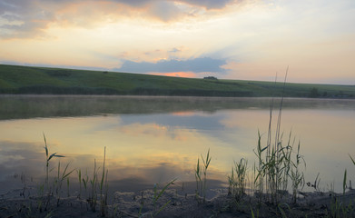 Summer morning