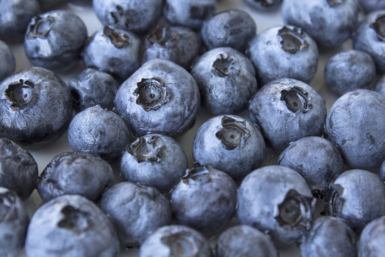 Ripe Blueberries, Closeup, Background