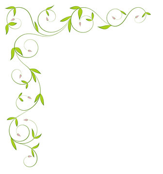 Ranke-Bilder: Stock-Fotos & -Videos. | Adobe Stock