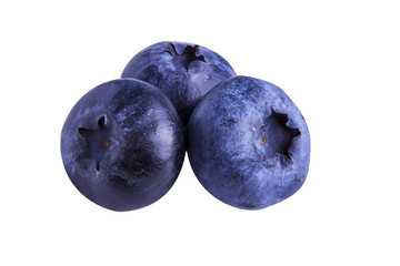 Fresh Bilberries blueberries, isolated