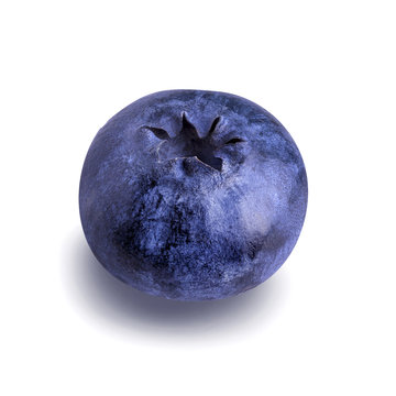 Fresh Bilberries blueberries, isolated