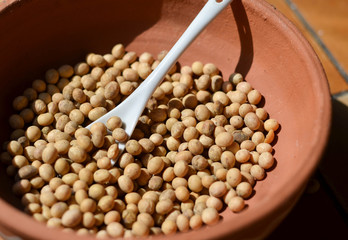Soy beans in bowl