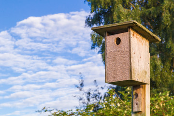 Wooden starling bird house,