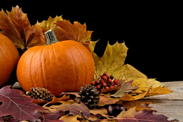 Pumpkin with autumn leaves for thanksgiving day on black backgro