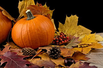 Naklejka na ściany i meble Pumpkin with autumn leaves for thanksgiving day on black backgro