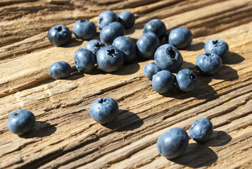 Blaubeeren, Heidelbeeren, Vaccinium myrtillus, auf Treibholz / Holz Brett