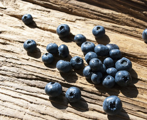Blaubeeren, Heidelbeeren, Vaccinium myrtillus, auf Treibholz / Holz Brett 