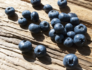 Blaubeeren, Heidelbeeren, Vaccinium myrtillus, auf Treibholz / Holz Brett 