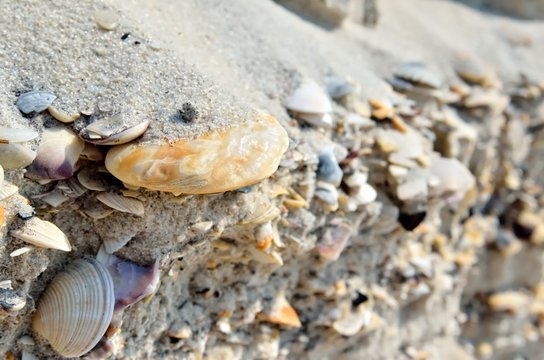 Mound of shells, stones and sand on the seashore.