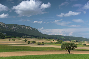 Fototapeta na wymiar The Alps in area near Wiener Neustadt