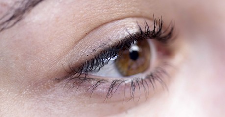 Fototapeta na wymiar macro of a woman eye