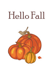 autumn pumpkin harvest